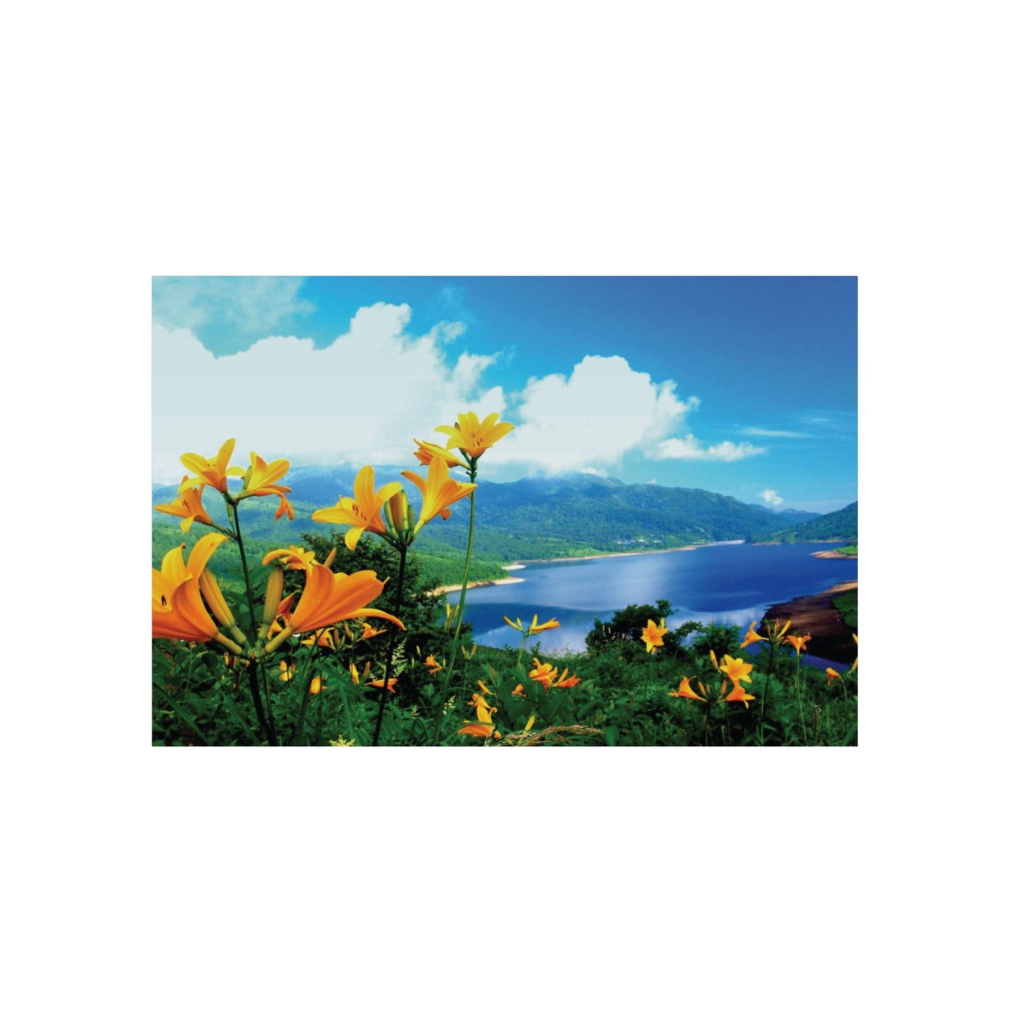 Beautiful Nature Print Aluminium Composite Panel
