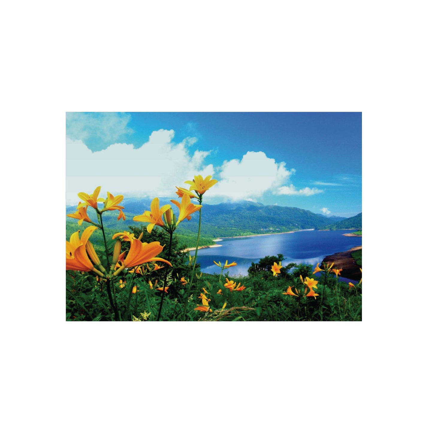 Beautiful Nature Print Aluminium Composite Panel
